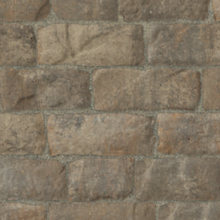 Silex Blend